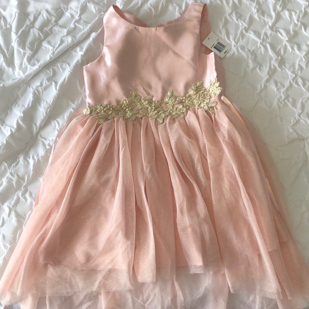 Pink & Violet pale pink dress with gold appliqué detail